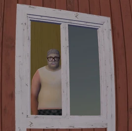 Window guy