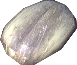 Rotten moose meat