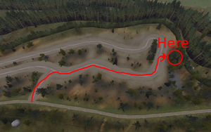 Location of the GT grille