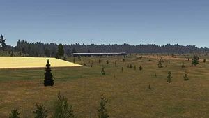 Поезд издалека