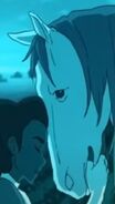 Comet
