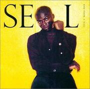 Seal Kiss From A Rose cover