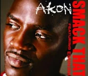 Akon Smack That cover