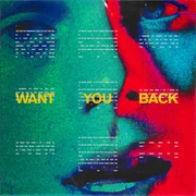 5 Seconds Of Summer Want You Back cover