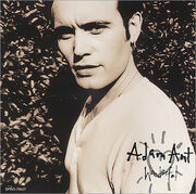 Adam Ant Wonderful cover