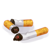 Cigarette Butts