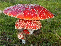 Tumblr c821ac9ff2753801c4df227749c31d9f ace8a79b 2048.jpg (954 KB)