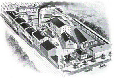 Auburnwagonwvplant