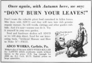 House & Garden (November 1936)