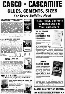Casein3.png