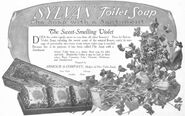 The Saturday Evening Post (Jan. 28, 1905)