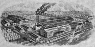 Campbelldannplant
