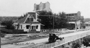 Albertalinseedplant