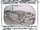 George G. Page Box Company