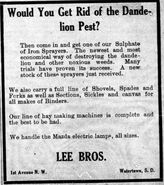 Saturday News (June 9, 1911)