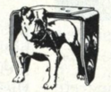 Bull dog