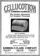 The Modern Hospital Year Book (1919)
