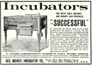 American Exporter (June 1, 1905)