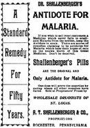 Meyer Brothers Druggist (1906)