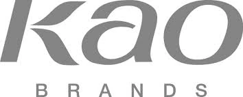 mycompanies.fandom.com