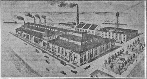Brandramhendersonplant
