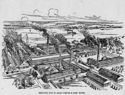 Disstonplant