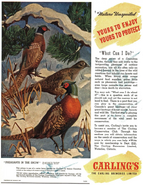Maclean's Magazine (Feb. 1, 1946)