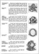 The Engineering Catalogues of Power-Plant Equipment (1913)