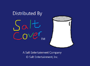 1992 salt cover