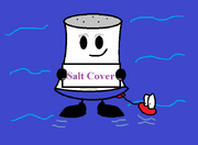 1983 salt cover