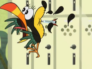 Toucan Down