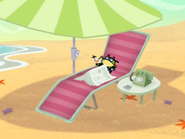 Pixiefrog on Vacation