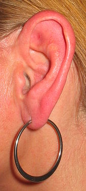 170px-Ear with earring