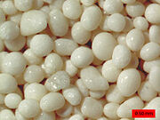 220px-JoultersCayOoids