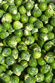 220px-Brussels sprout closeup