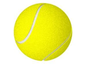 Tennis My house during my life Wiki Fandom