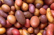 220px-Patates