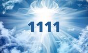 !111