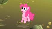 Pinkie Pie16 S01E15