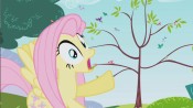 175px-Fluttershy ahh