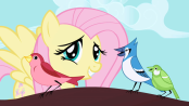 174px-Fluttershy 2