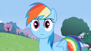 Dashie is not amused