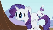 Rarity
