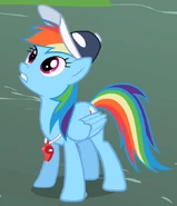 Rainbow Dash Coach ID S2E7