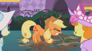 Applejack mauvaise herbe S02E09