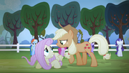 Applejack s'approche de Fluttershy (S04E07)