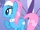 Poneys de Spa