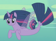 Twilight Hippocampe