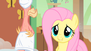 Hum Fluttershy S01E22