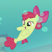 Apple bloom hippocampe